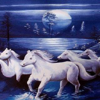 Seven white horses wallpaper