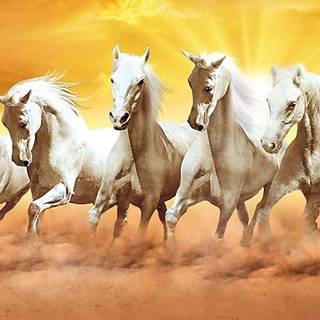 Seven white horses wallpaper