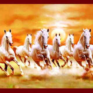 Seven white horses wallpaper