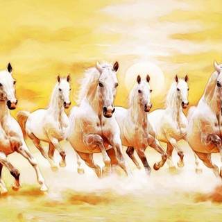 Seven white horses wallpaper