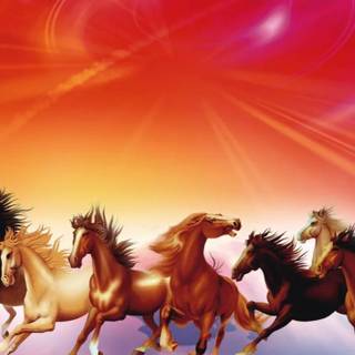 Seven white horses wallpaper