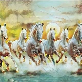 Seven white horses wallpaper