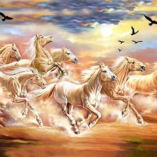 Seven white horses wallpaper