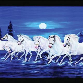 Seven white horses wallpaper