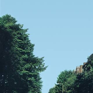 The Beatles album wallpaper