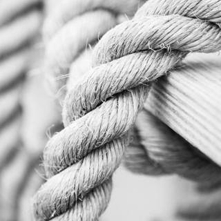 Hanging rope wallpaper