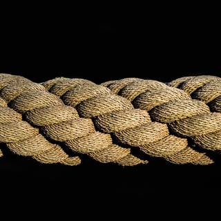 Hanging rope wallpaper