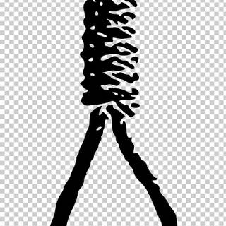 Hanging rope wallpaper