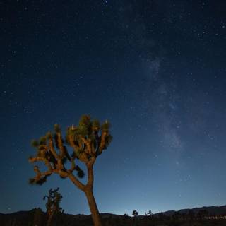 Desert night sky wallpaper