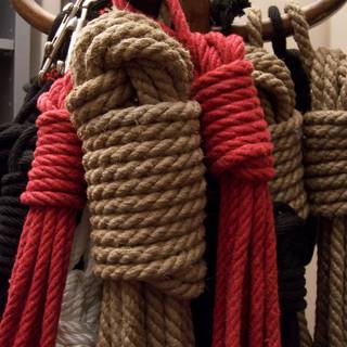 Hanging rope wallpaper
