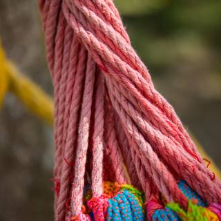 Hanging rope wallpaper