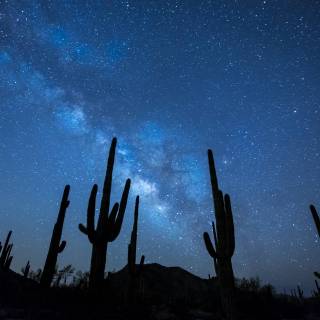 Desert night sky wallpaper