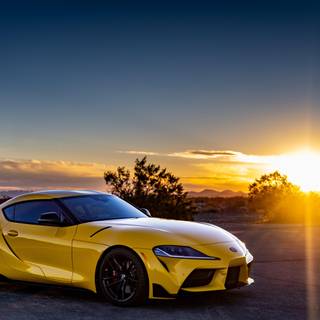 Yellow Supra wallpaper