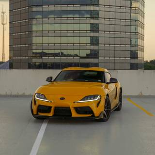 Yellow Supra wallpaper