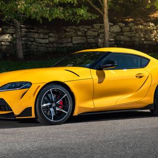 Yellow Supra wallpaper