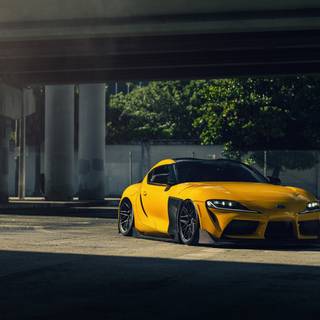 Yellow Supra wallpaper
