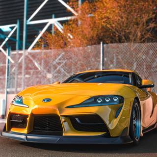 Yellow Supra wallpaper