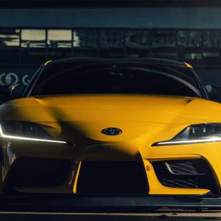 Yellow Supra wallpaper
