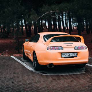 Yellow Supra wallpaper