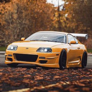 Yellow Supra wallpaper
