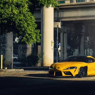 Yellow Supra wallpaper