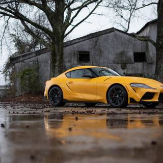 Yellow Supra wallpaper