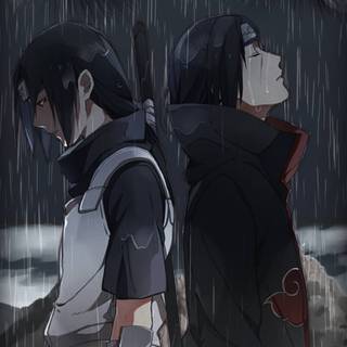 Itachi in rain wallpaper