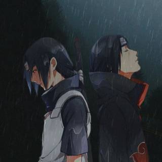 Itachi in rain wallpaper