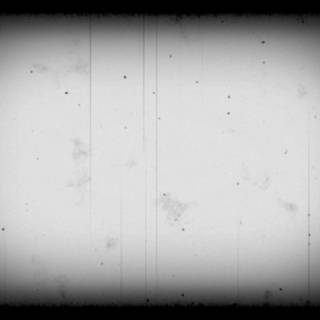 Film grain wallpaper