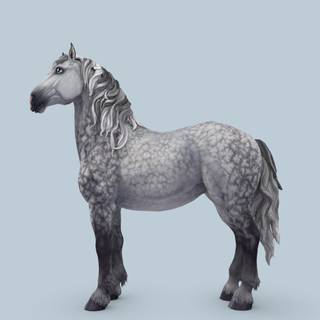 Percheron wallpaper