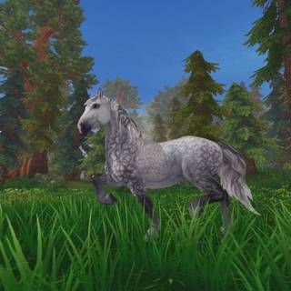 Percheron wallpaper