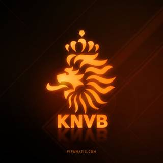 Netherlands soccer wallpaper
