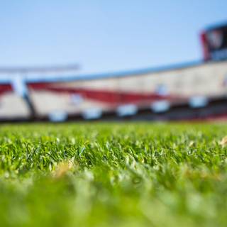 Grass stadium wallpaper