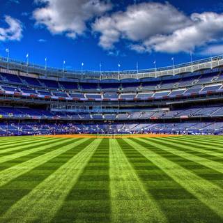 Grass stadium wallpaper