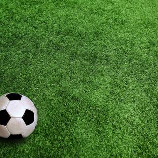 Grass stadium wallpaper