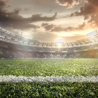 Grass stadium wallpaper