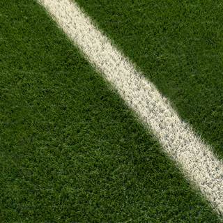 Grass stadium wallpaper