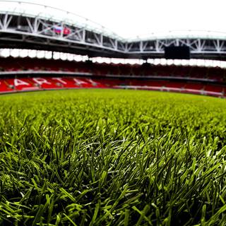 Grass stadium wallpaper