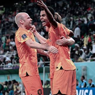 Netherlands soccer wallpaper