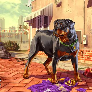 Franklin GTA5 wallpaper