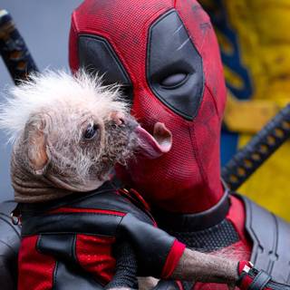 Deadpool and Wolverine wallpaper