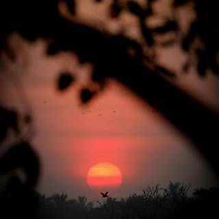 Rising sun 4k wallpaper