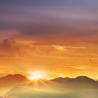 Sunshine iPhone wallpaper