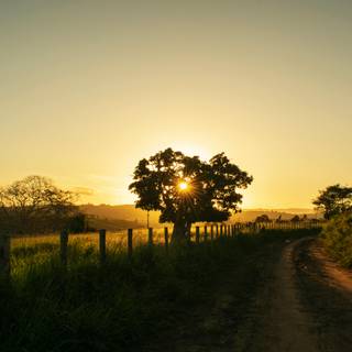 Rising sun 4k wallpaper