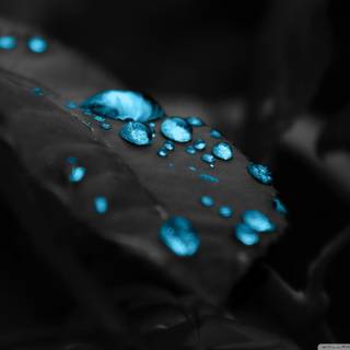 4k blue water wallpaper