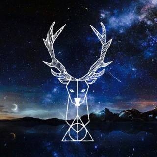 Harry Potter phone 4k wallpaper