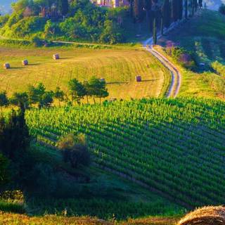 Tuscany iPhone wallpaper