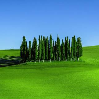 Tuscany iPhone wallpaper