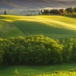 Tuscany iPhone wallpaper