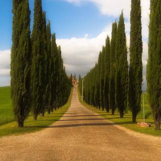 Tuscany iPhone wallpaper